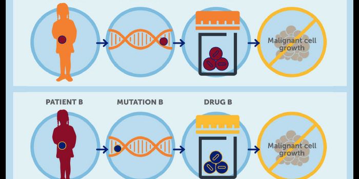 Precision vs. Personalized Medicine Part I: Precision Approach