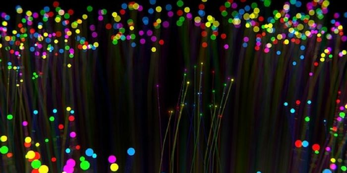 A Math Model Shows How Neurons Fire in the Brain