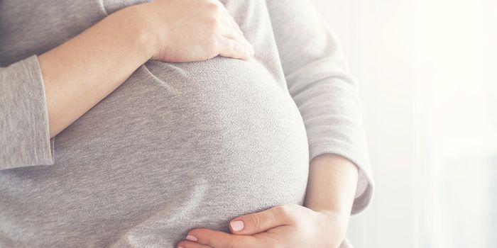 Study Examines Effects of Prenatal CBD Exposure