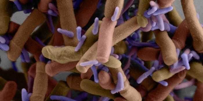 Revealing More About the Epibiotic Life of Microbial Dark Matter