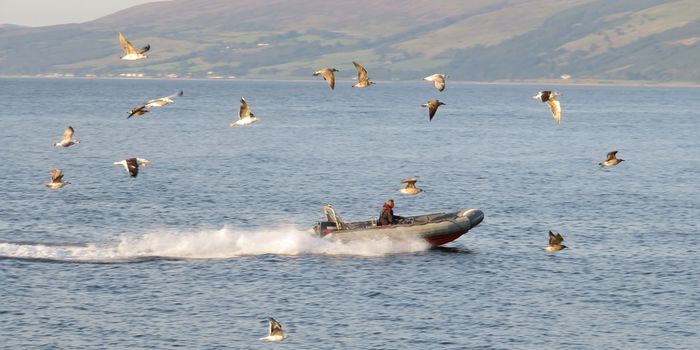 Why is the ocean getting louder?