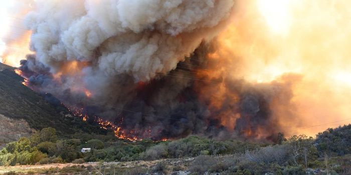 Fire runs wild in California