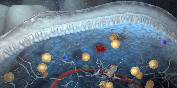 Innate Lymphoid Cells, a new Gut Cell Type