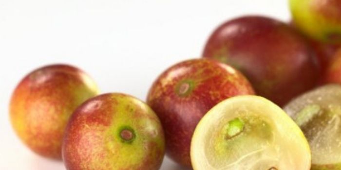 Can This Exotic Fruit Prevent Obesity?