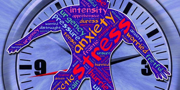 Chronic Stress Neuronal Structure in the Amygdala