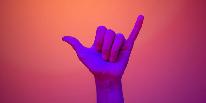 Humans Can Understand Ape Gestures, Illuminating the Origins of Language