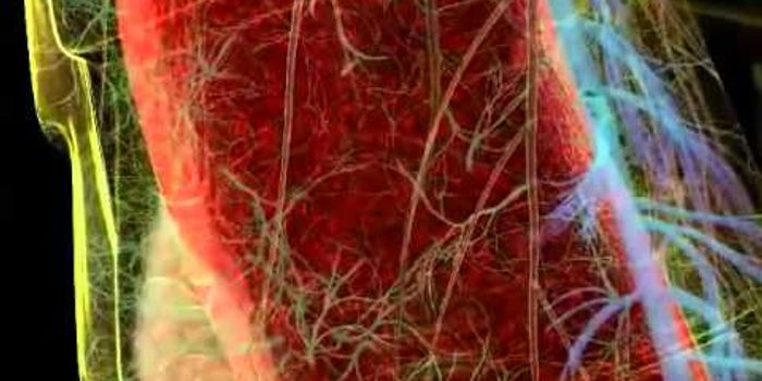 Malaria from start to finish