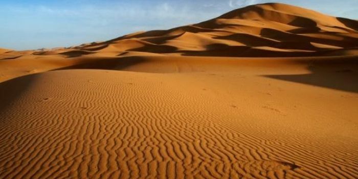 Could humans have created the Sahara Desert?
