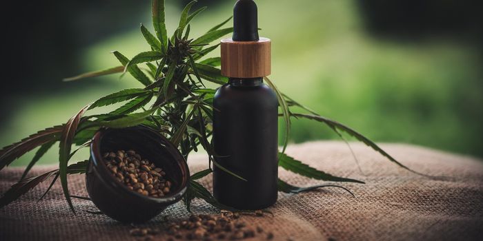CBD Treatment Linked to Better Object and Spatial Memory Functions