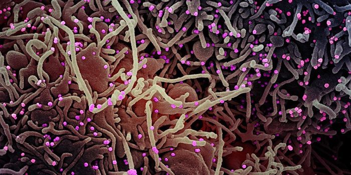 Once Thought to Make COVID-19 Worse, ACE Inhibitors Now Tested as Therapeutic