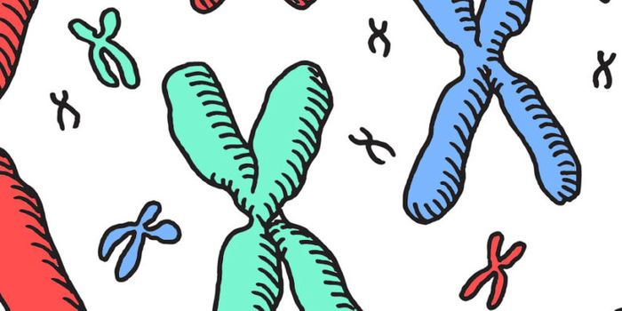 Certain tests better flag fetuses with brain disorder risk