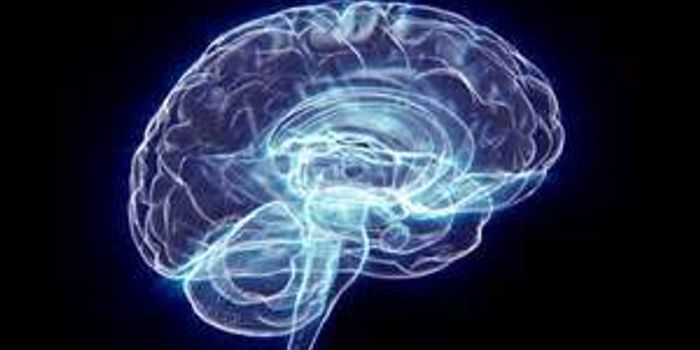 Unlocking Autism with a Single Gene?