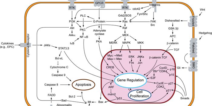 NLRP3 Inflammasome and KRAS Mutations: A Scientific Breakthrough in Cancer Research