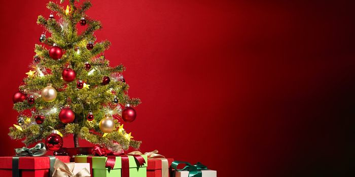 The Surprising Connection between Christmas Trees & Chemotherapy