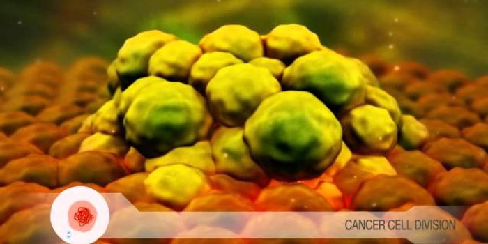 Cancer: Unregulated Cell Division