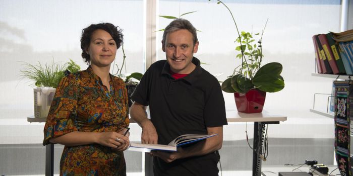 The Cause of a New Autoimmune Disease is Discovered