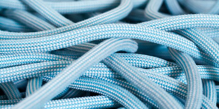 A Nasal Vaccine Against Tau Tangles