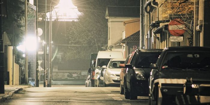 Scientists Learn Why Insects are Drawn to Light