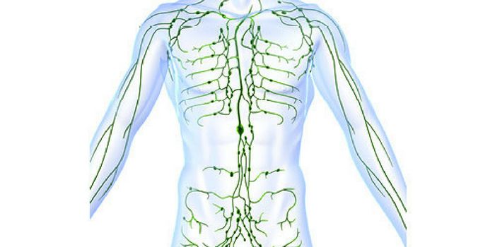 New Potential Inhibitor Target for Mantle Cell Lymphoma