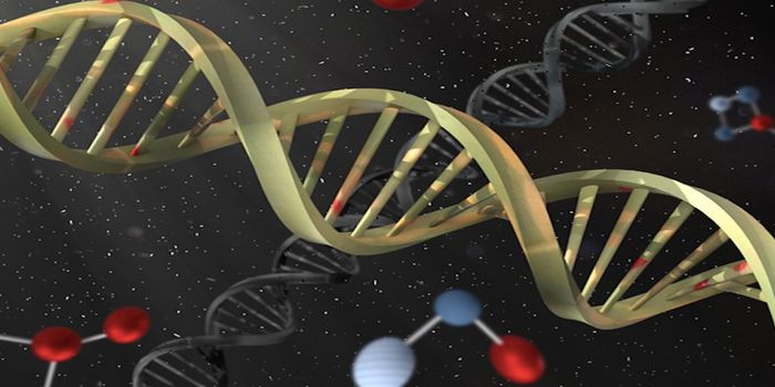 Transcription Factors Can Bind RNA & Have a Big Impact