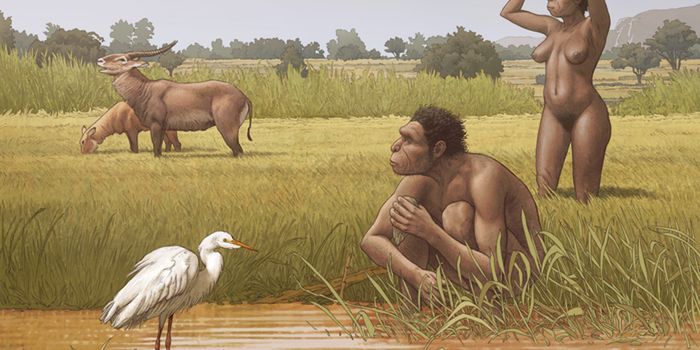 An Ancestor of Modern Humans is Given a Proper Name