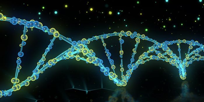 A Novel Type of Protein Degradation is Revealed