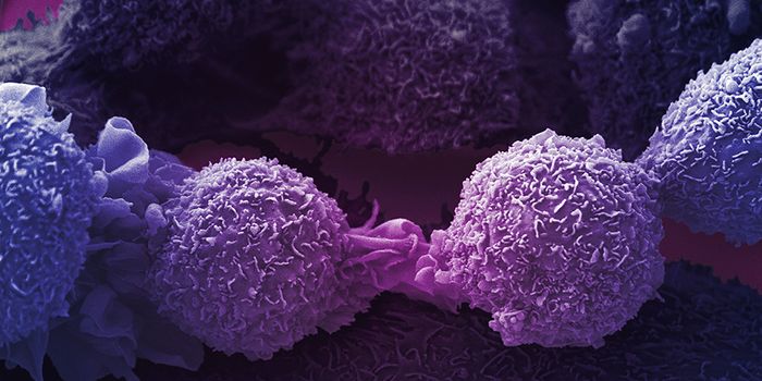 PARP Inhibitors Boost Immune Efficacy