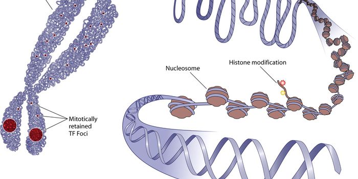 New Technology Paves the Way for Studying Interactions Between the Transcriptome and the Epigenome