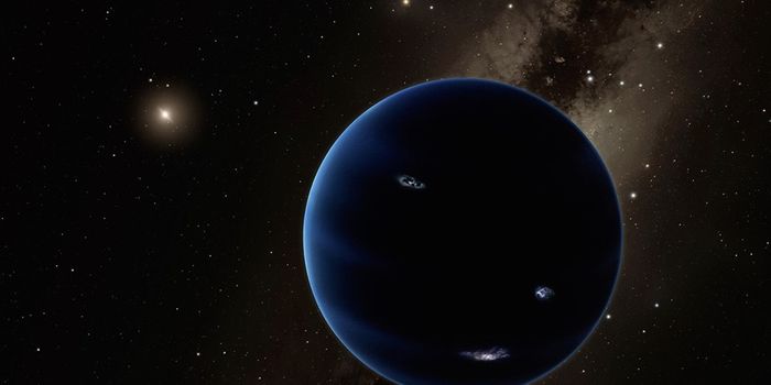 Was Planet Nine "Stolen" From Another System?