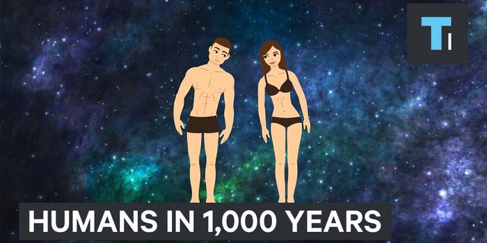 In 1,000 years, Will We Become Part Human, Part Machine?