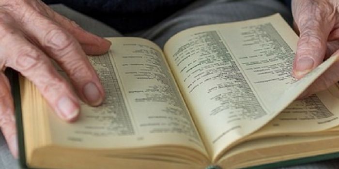 Even Later in Life the Brain Still Generates New Cells