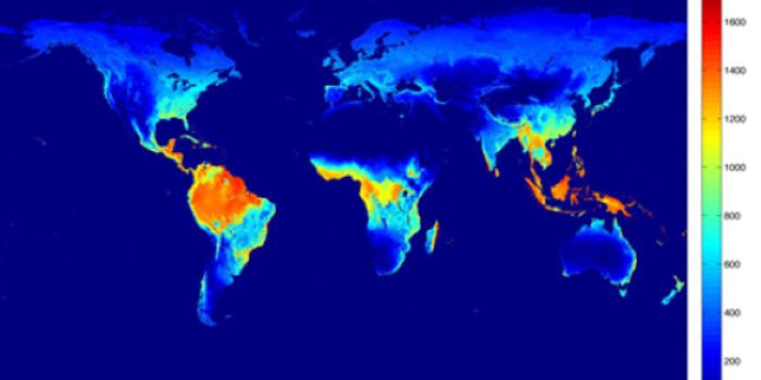 As Forests Go, So Goes The Food
