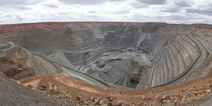 Deep Subsurface Microbes Are "Living Fossils"