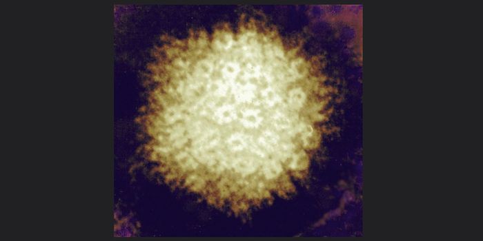 Understanding the Connection Between Stroke and Shingles