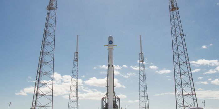 SpaceX Prepares for 50th Falcon 9 Rocket Launch