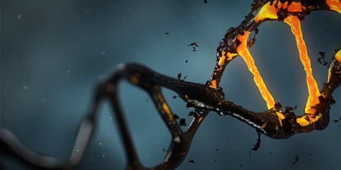 New Tool Rapidly Detects Unintended Gene Changes from CRISPR