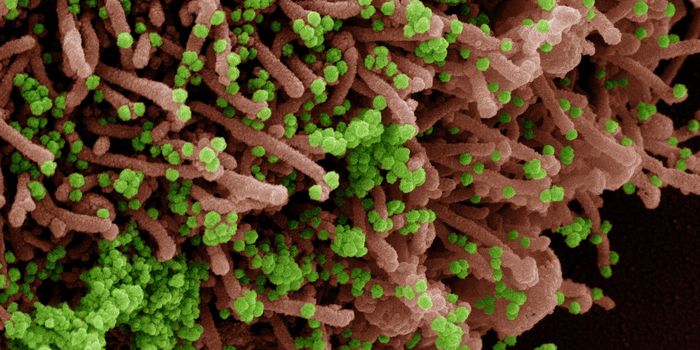 A New Kind of Antiviral Against SARS-CoV-2