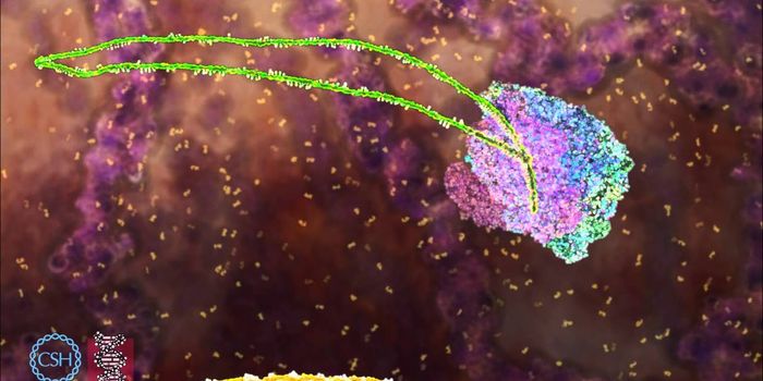 A 3D animation shows the crucial RNA editing step called splicing