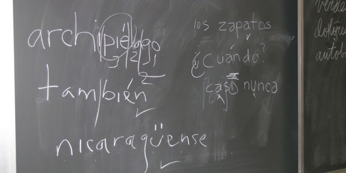 The Timing of Learning a Second Language