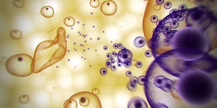 Malaria Lifecycle Animation 