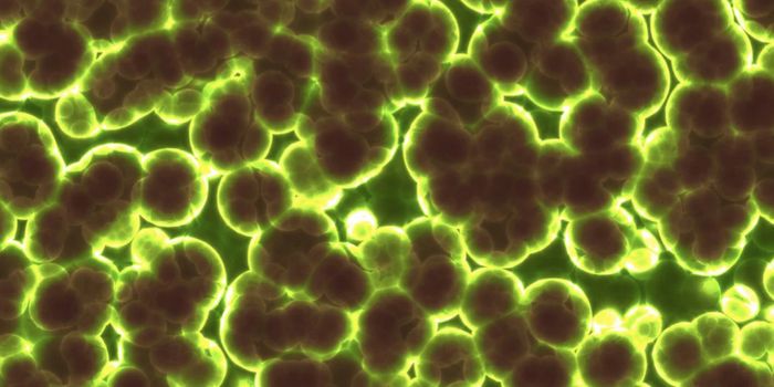 Microbiome-Directed Food Could Help Prevent Malnutrition