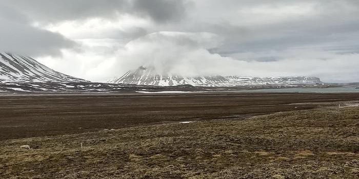 Arctic Clouds and Climate Change: Unveiling the Role of Biological Particles