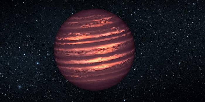 The Science Behind Brown Dwarfs
