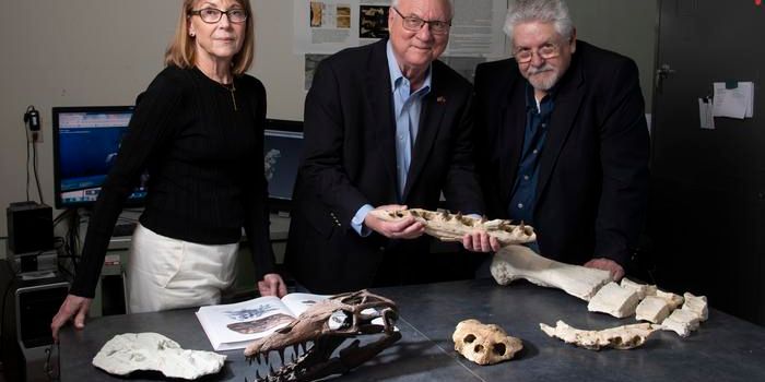 Clear Evidence of the Rift Between Africa & South America is Revealed