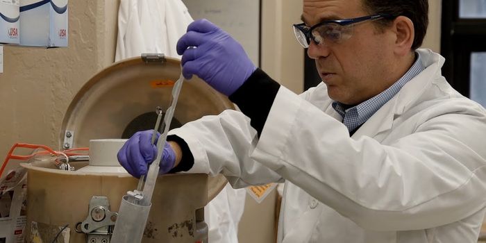 A New Brain Institute at Brown