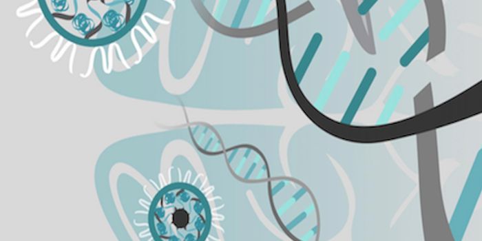 Gene-editor Eases Autism Symptoms in Mouse Model