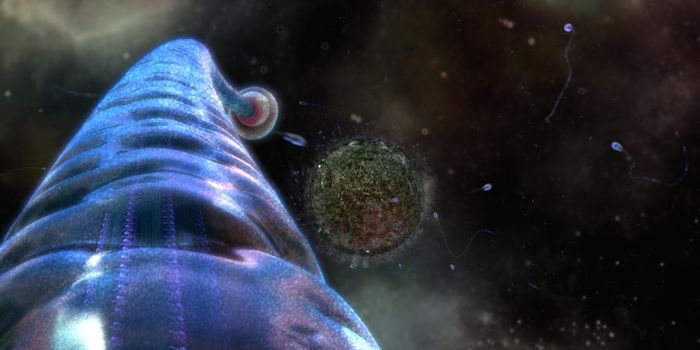 Star Wars-Inspired Biological Animation Leads to Mechanistic Insight