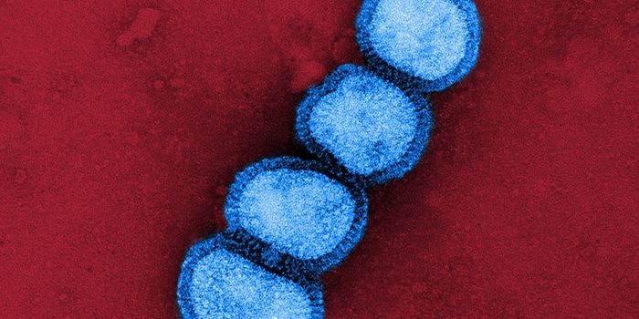 Fever Doesn't Seem to Harm Bird Flu Viruses