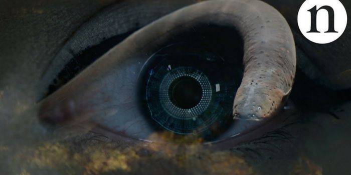 Electric Eel-inspired Battery