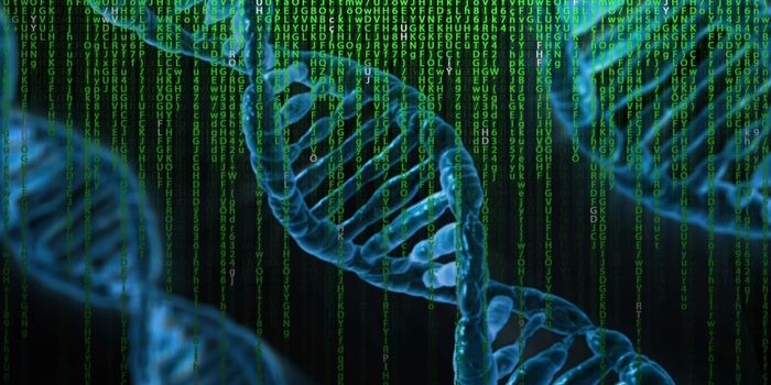 Scientists use AI to reveal an unexpected role for "junk" DNA in autism